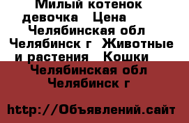 Милый котенок, девочка › Цена ­ 10 - Челябинская обл., Челябинск г. Животные и растения » Кошки   . Челябинская обл.,Челябинск г.